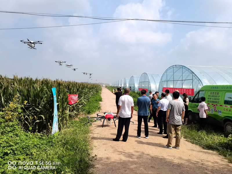 రియల్-ప్రొడక్ట్-డిస్ప్లే2