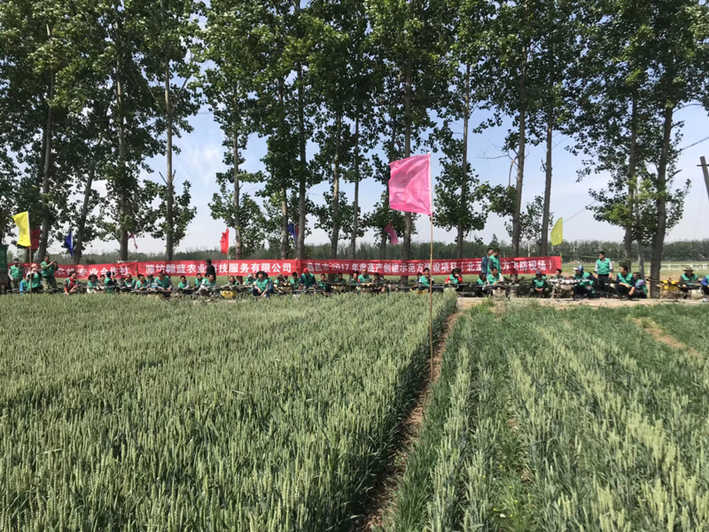 రియల్-ప్రొడక్ట్-డిస్ప్లే8